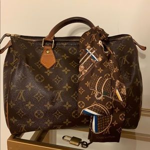 Louis Vuitton Speedy 30 Handbag